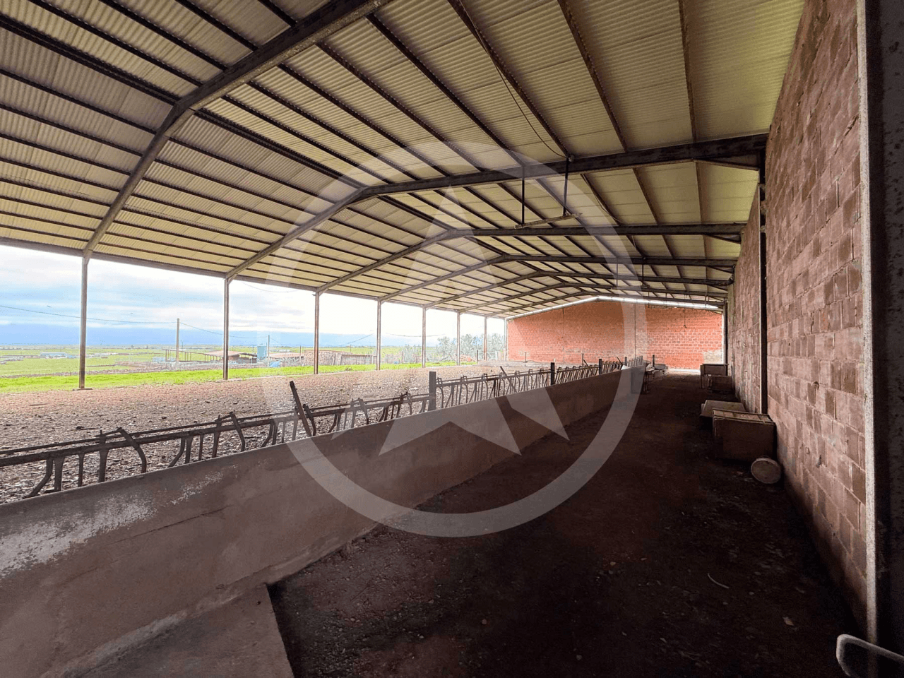 Rustic farm of 1.5 hectares with warehouse in Casar de Cáceres