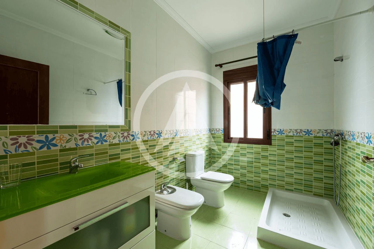 Village house with plot in Torrecillas de la Tiesa, Extremadura