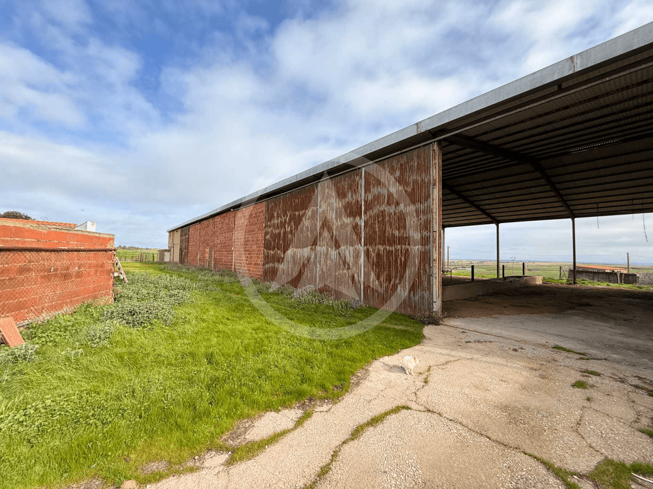 Rustic farm of 1.5 hectares with warehouse in Casar de Cáceres