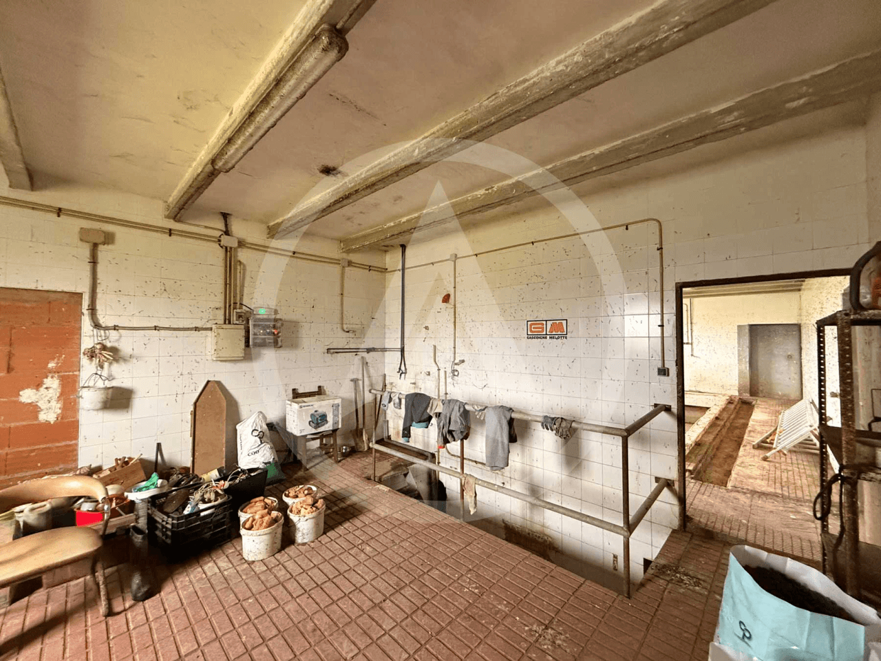 Rustic farm of 1.5 hectares with warehouse in Casar de Cáceres