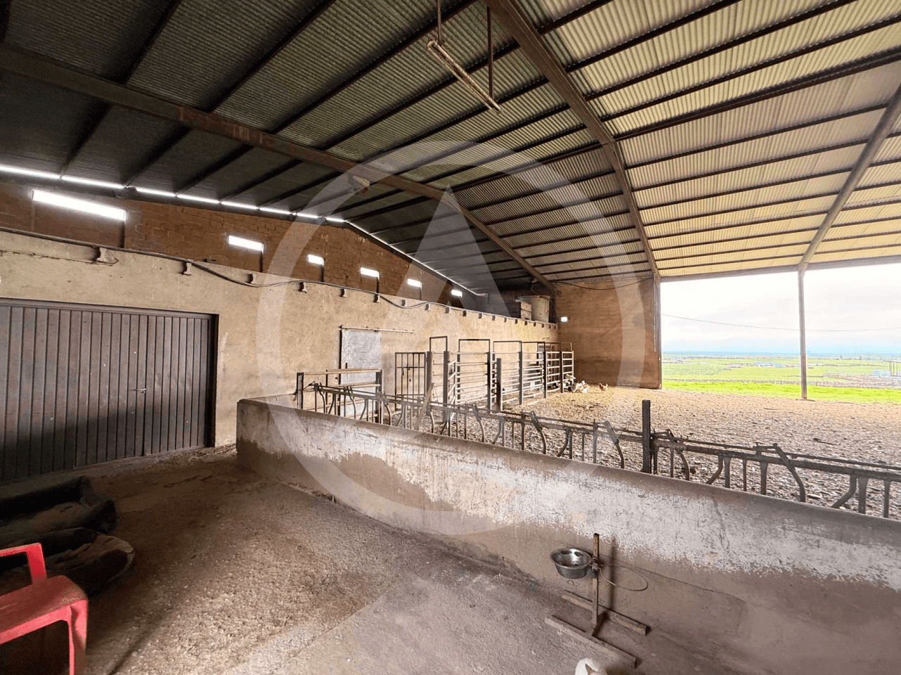 Rustic farm of 1.5 hectares with warehouse in Casar de Cáceres