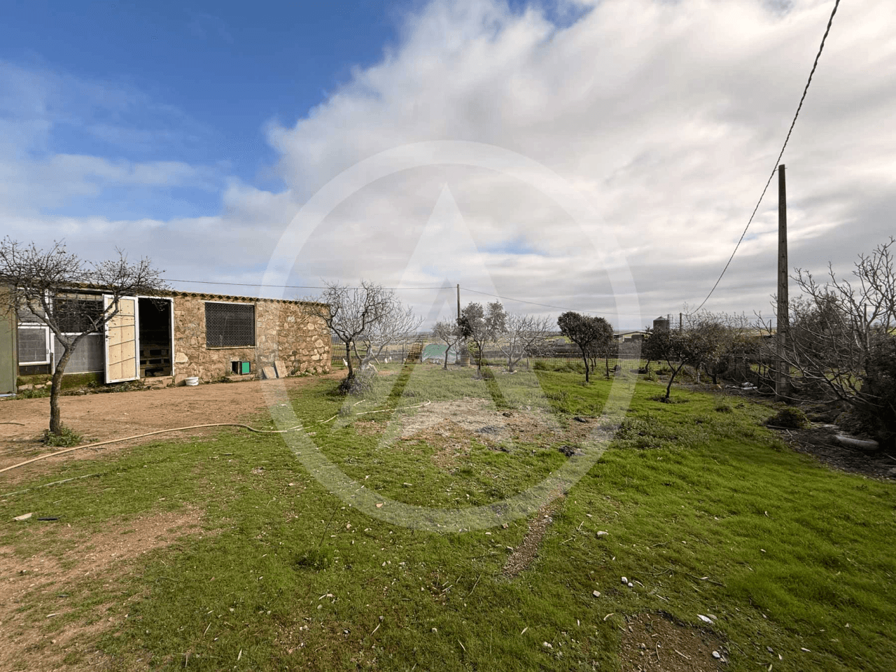 Rustic farm of 1.5 hectares with warehouse in Casar de Cáceres