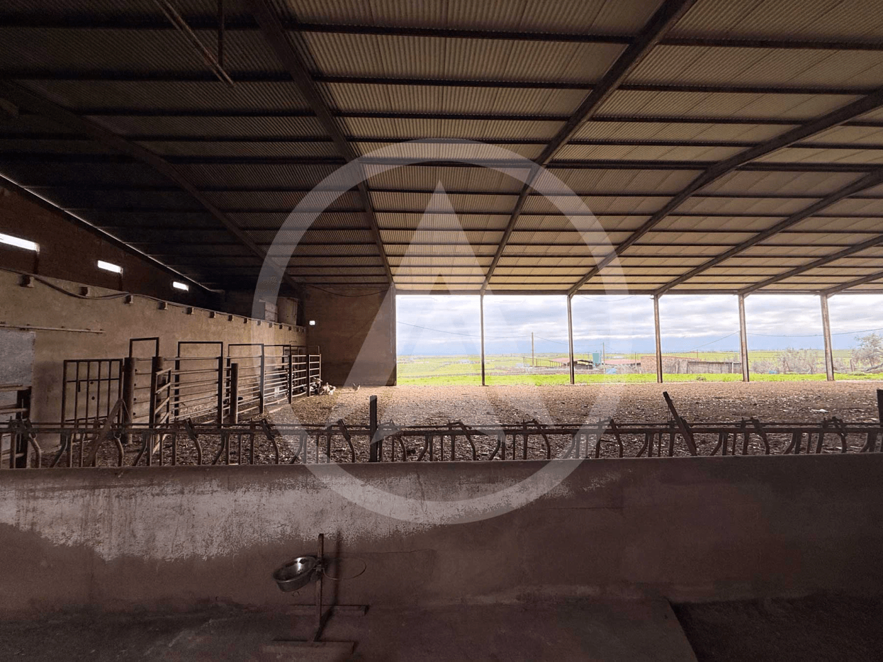 Rustic farm of 1.5 hectares with warehouse in Casar de Cáceres