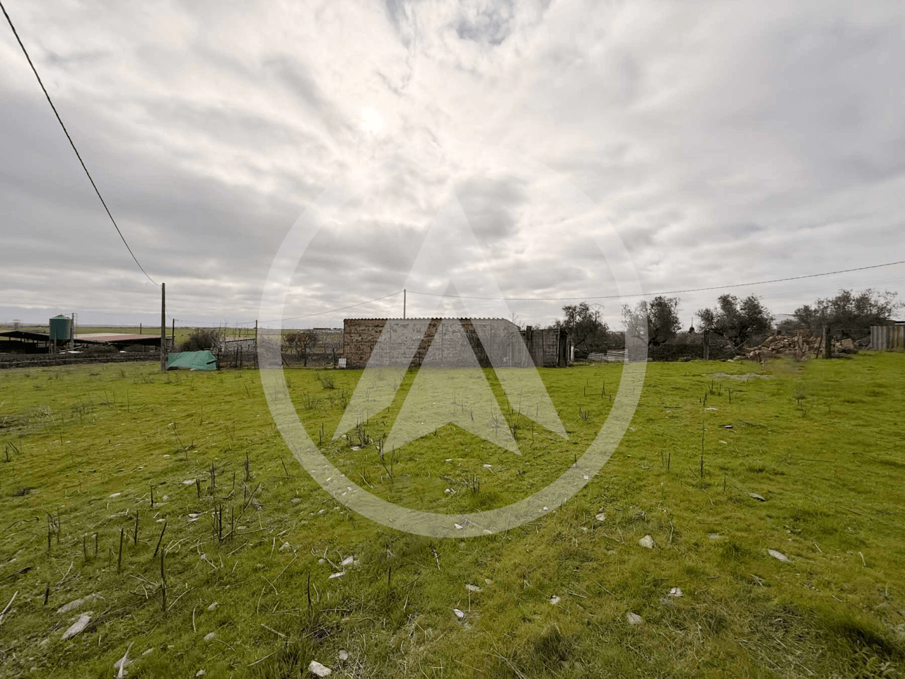 Rustic farm of 1.5 hectares with warehouse in Casar de Cáceres