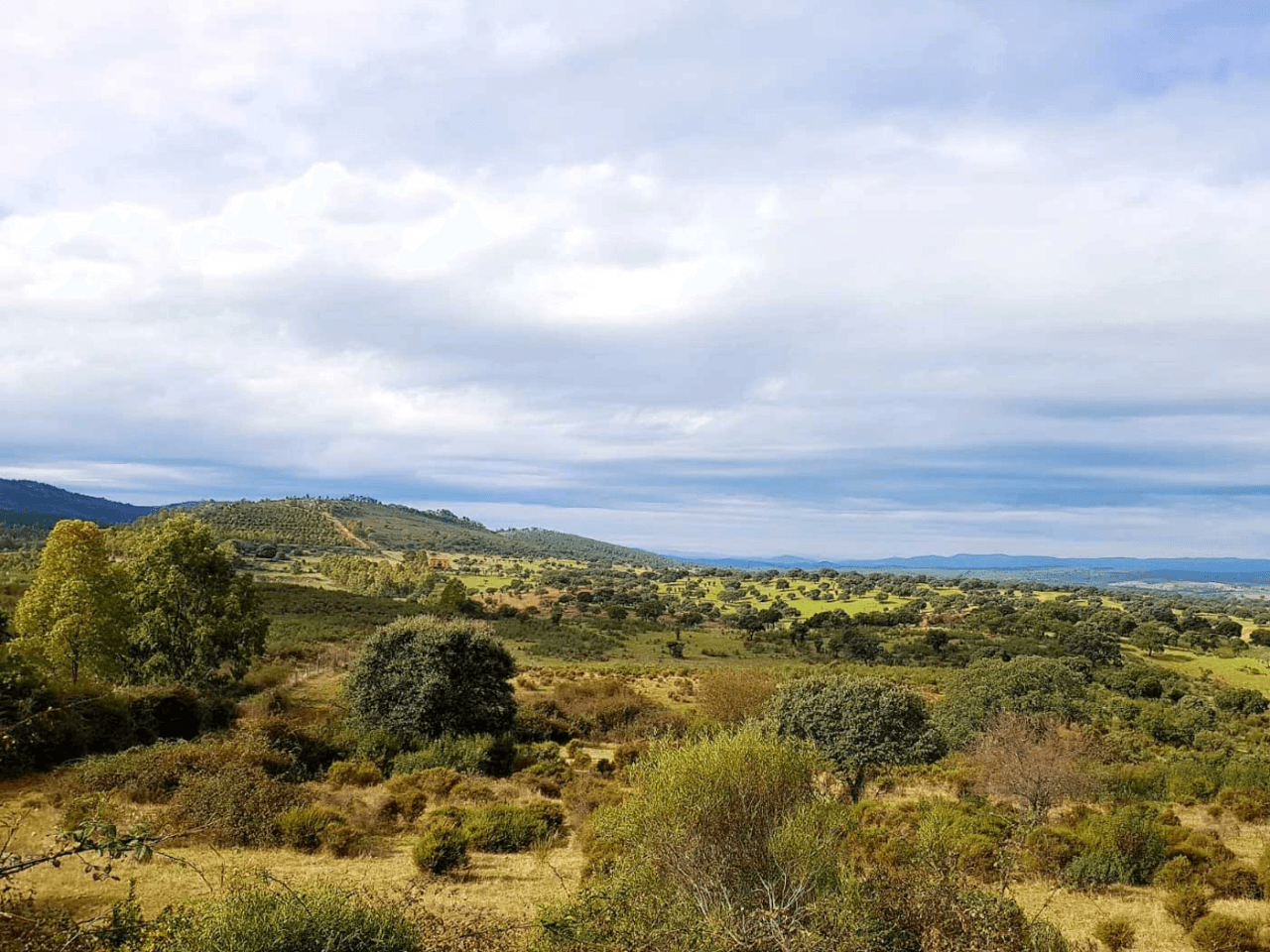 House for sale in Zarza la Mayor, Cáceres