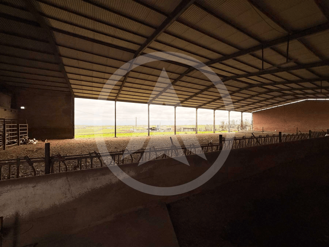 Rustic farm of 1.5 hectares with warehouse in Casar de Cáceres