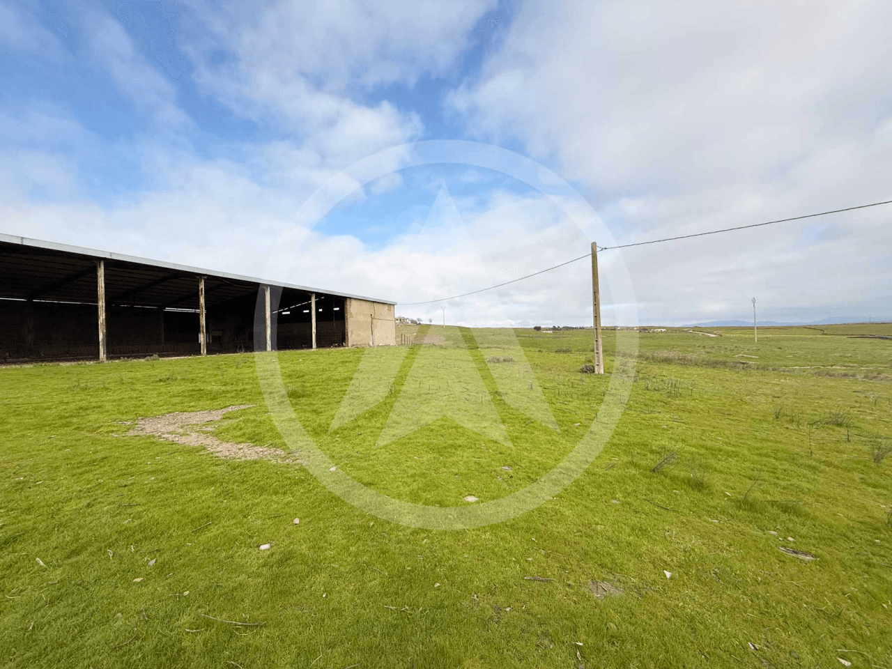 Rustic farm of 1.5 hectares with warehouse in Casar de Cáceres