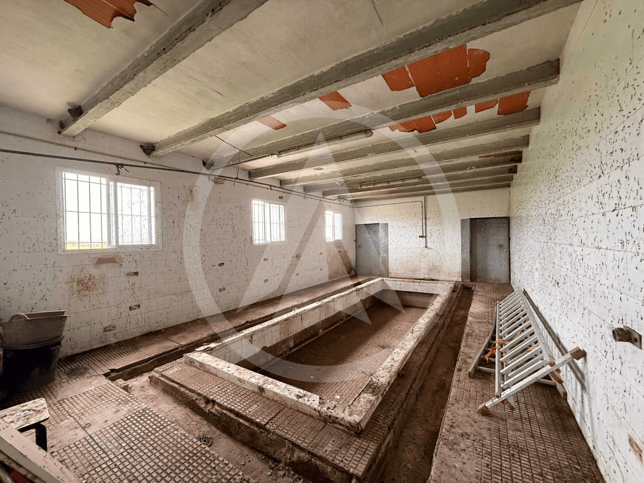 Rustic farm of 1.5 hectares with warehouse in Casar de Cáceres