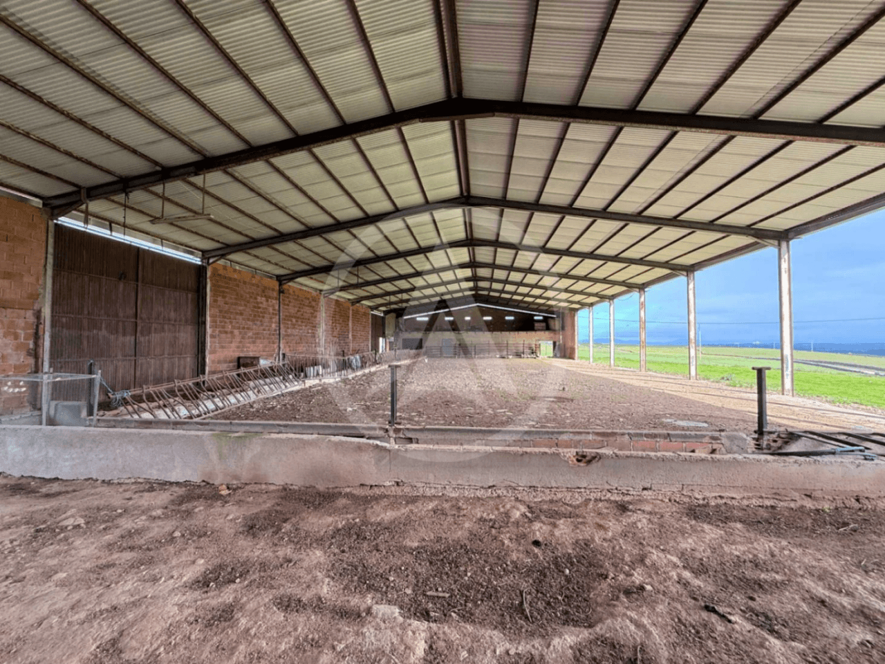 Rustic farm of 1.5 hectares with warehouse in Casar de Cáceres