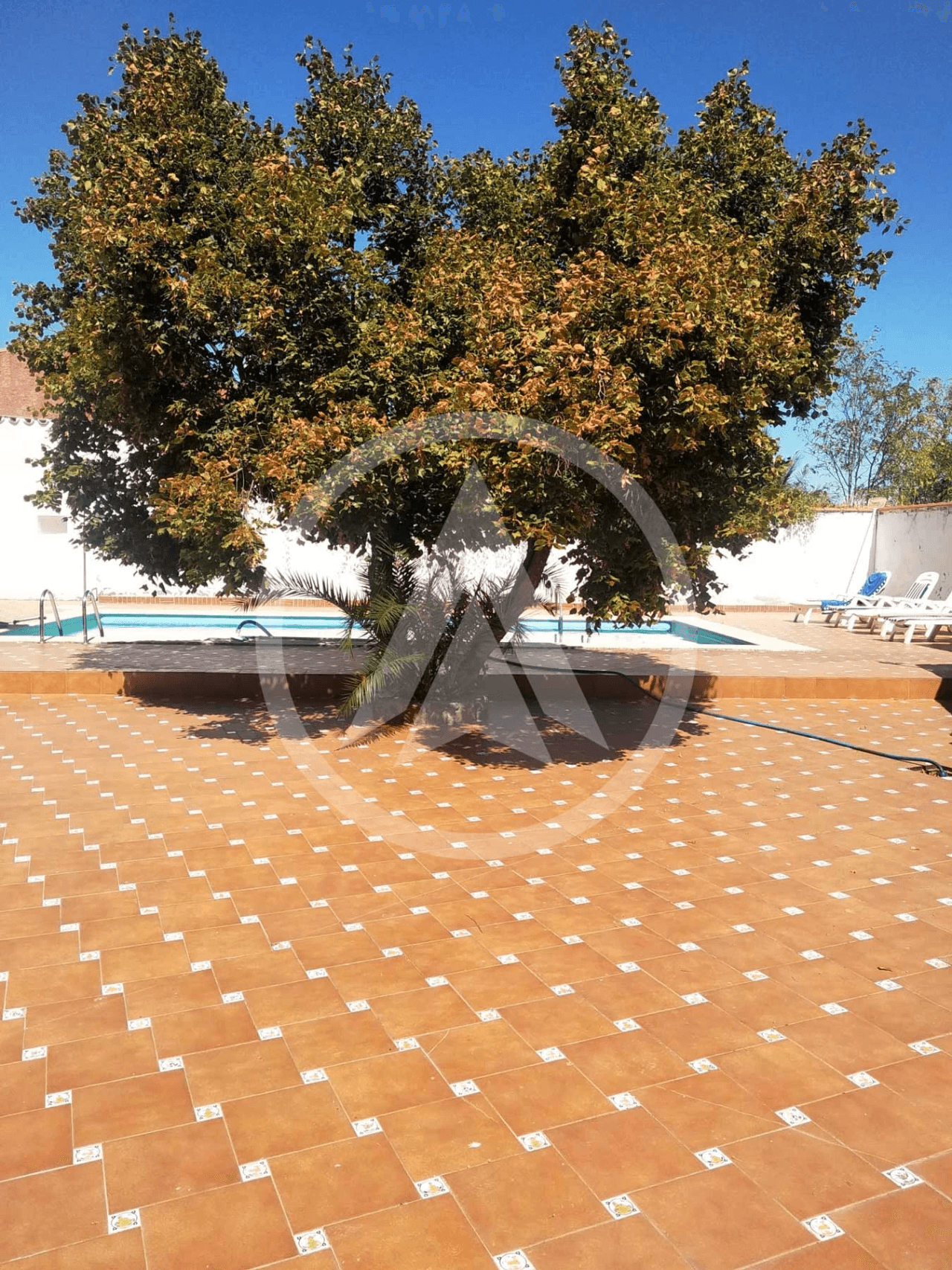 Village house with pool and land in Aldeacentenera - Extremadura